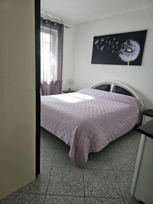 La Casa Della Lavanda Borgo Adorno Exterior foto