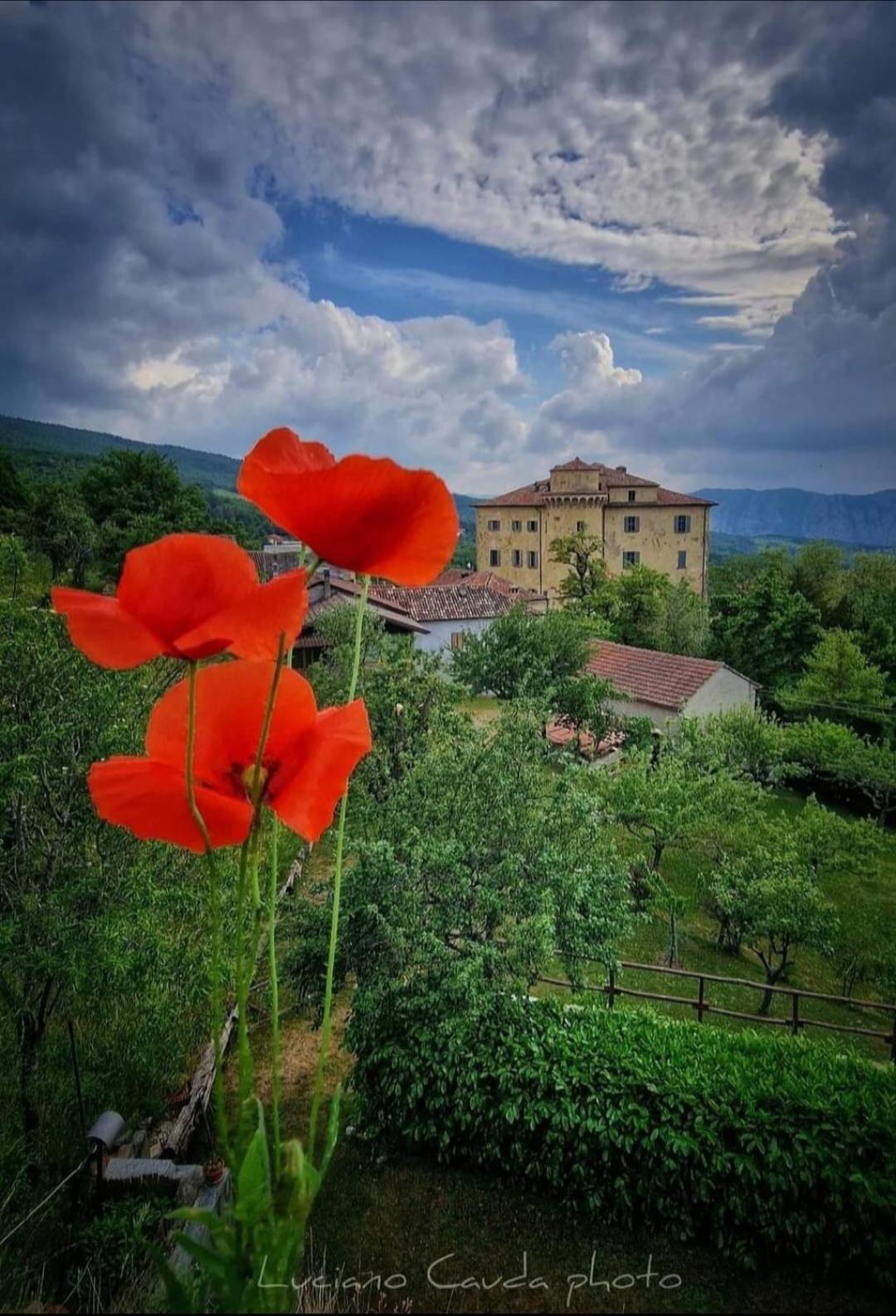 La Casa Della Lavanda Borgo Adorno Exterior foto
